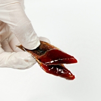 [동방유통] 포항구룡포 손질 꽁치 과메기 1팩/2팩/3팩 (팩당200g/초고추장40g증정)