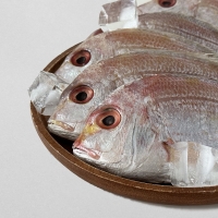 삼천포 용궁수산시장 반건조 생선 자반세트