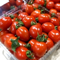 [1+1 스테비아] 대추 방울토마토 500g+500g