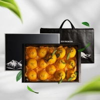 [오커브팜] 제주 한라봉 레드향 천혜향 만감 혼합 선물세트