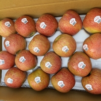 [신한카드 할인] 고당도 프리미엄  엔비사과(푸)