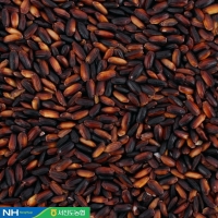 [서진도농협] 진도 검정찰흑미 1팩/2팩/3팩/5팩 (팩당1kg)지리적표시제인증