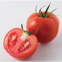 프리미엄 완숙토마토(푸)