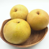 [만원의 행복] 세계가  인정한  맛의  기준  상주  만풍배  2.5kg/5kg