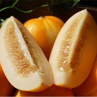 [오커디어] 꿀당도 성주 참외 1.5kg 2kg 2.5kg 3kg 4.5kg