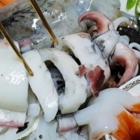 국내산 생물 갑오징어 3kg
