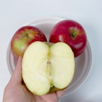 감홍사과2kg~5kg(최)