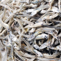 [단짠예찬] 바다내음 볶음조림멸치(가이리/자멸) 1봉/2봉/3봉(봉당500g)