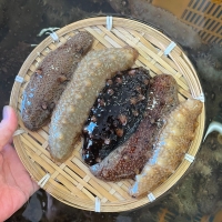이순신수산 통영 해산 해녀가 채취한 제철 자연산 참 해삼 500g