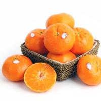 [농협공판장] 당도선별 정성드린 제주만감 2종묶음세트(한라봉+레드향 각3kg 10과내)