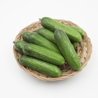 [오커캄스] 작은 미니오이 피클리노 10개입 20개입