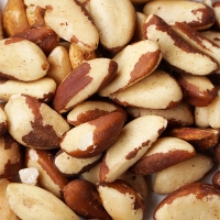 [단짠예찬] 브라질넛 1팩/2팩(팩당1kg)