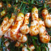 자연의 선물  강원도  알타리무(푸)