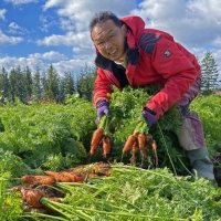 [화산토] 제주 구좌 흙당근 [3kg-10kg]