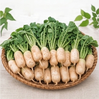 [오커최고] 여수 알타리무 3kg 5kg 10kg 무우 무시