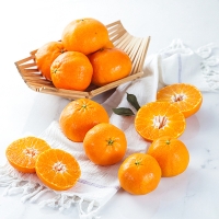 [농장직송] 고당도 천혜향 로얄중과 [1.8kg-4.5kg]