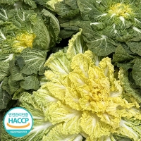 [보름데이] 전라도의 맛 봄동 겉절이(푸)