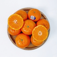 [오커최고] 수입 만다린 1kg 2kg