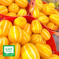 고당도 성주 꿀참외(푸)