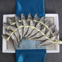 [영광굴비] 명품 영광굴비 20미 [1.4kg-2.2kg] 