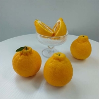 [제주직송] 프리미엄 한라봉