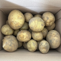 [만원의 행복] 쫀득쫀득 정말 맛있는 설봉감자