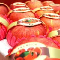 [과일예찬] 프리미엄 사과/배 묶음세트1호/2호/3호(사과5kg+배7.5kg/12.5kg)