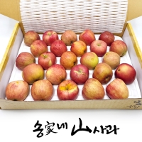 [송가네산사과] 실속 못난이 사과 4.5kg (중소과 19~25과내/대과 13~18과내)
