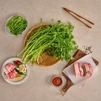 [오커최고] 청도 미나리 봄미나리