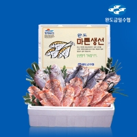 [완도금일수협] 완도특선 마른생선 랜덤선물세트 3호