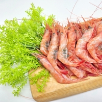 [강릉] 산지직송 동해안 단새우 500g 내외(30미 내외)