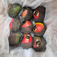 프리미엄 애플망고(푸)