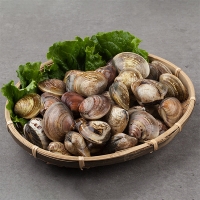 [보름데이] 자연산 남해  활  바지락(푸)