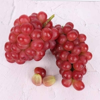 (최켓) 써니돌체 500g~2kg