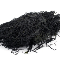 [완도금일수협] 냉풍미역 1봉/2봉/3봉/5봉 (봉당230g)