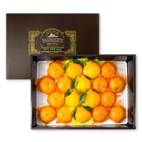 [특별할인] 새콤달콤 제주 만감류 레드향 천혜향 한라봉 프리미엄 선물세트