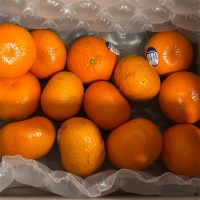프리미엄  만다린귤(푸)