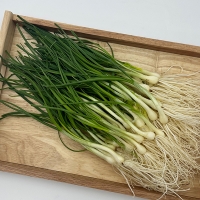 [오커캄스] 향긋 달래 세척 달래 300g 500g 1kg