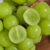 [만원의 행복] 식이섬유가 풍부한  샤인머스캣