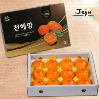 [푸토리] 정성담은 제주마을 천혜향 세트 3kg / 5kg