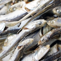 [단짠예찬] 바다내음 국물멸치(고바/소멸) 2봉/3봉/5봉(봉당200g)