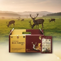 김소형원방 불로초 녹용 홍삼진액