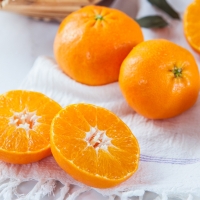 [농협] 한아름드린 천혜향세트 3kg(특15과내)  1박스/2박스