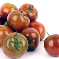 [과일예찬] 꼼꼼한 쿠마토(흑토마토) 2kg  1박스/2박스