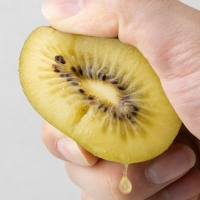 [백억] 황금빛 달콤한 국내산 보성 골드키위