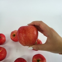 빨간사과 2kg~(최)