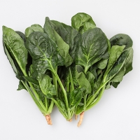 [오커최고] 해풍 시금치 남해안 섬초 500g 1kg 2kg 보물초