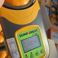 [제주햇살 담은] 제주 천혜향 [2kg-4kg] [무지박스]