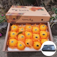 [신한카드할인]새콤달콤 감귤 제주 꿀 한라봉 프리미엄 고당도 선물세트 2kg 3kg 5kg