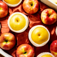 [오커브팜] 한상 사과배 선물세트 (사과 6과 + 배 6과)